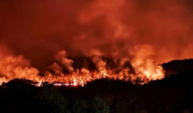 Aydın'da orman yangını paniği: Ekipler seferber oldu