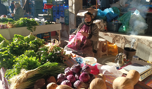Karacasu'nun çalışkan pazarcısı: 72 yaşında hep üretiyor hem satıyor