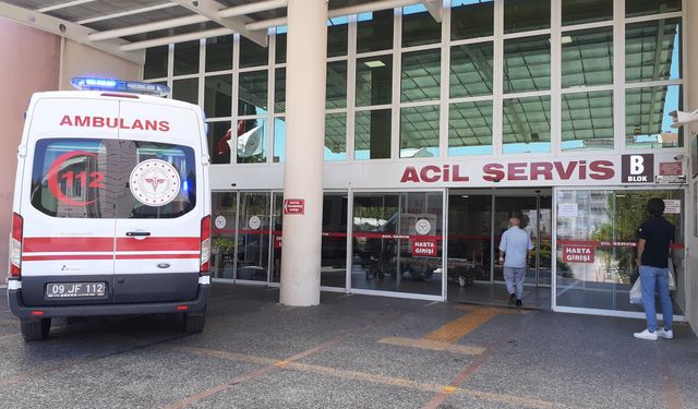 Aydın'da talihsiz kaza: Kestane ağacından düşerek ağır yaralandı