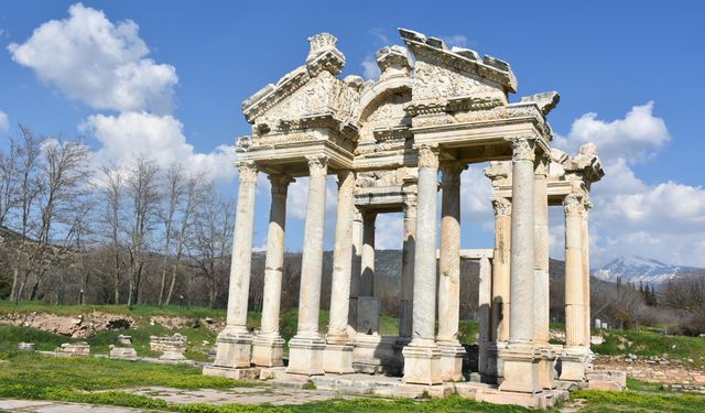 Afrodisias Antik Kentindeki zeytinler için ihale yapılacak