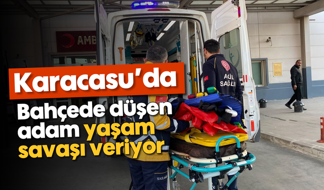 Karacasu’da korkunç olay: Bahçede düşen adam yaşam savaşı veriyor