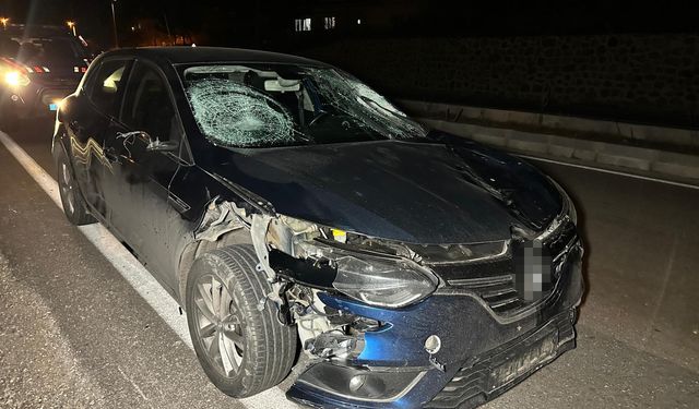 Korkunç kaza: Otomobilin çarptığı 3 kişi hayatını kaybetti