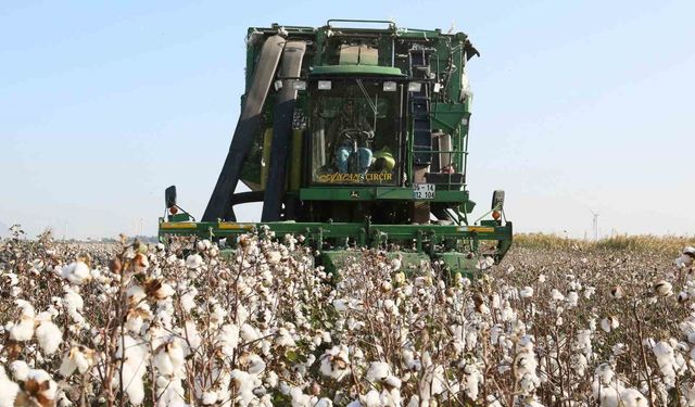 Aydın İl Tarım Müdürlüğü’nden üreticilere önemli hatırlatma