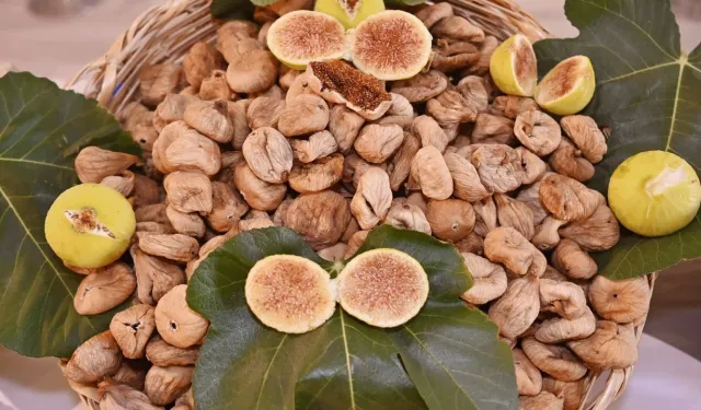 Aydın’da kestane ve incir festivali yapılacak