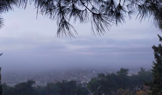 Aydın’da puslu sabah manzaraları mest etti