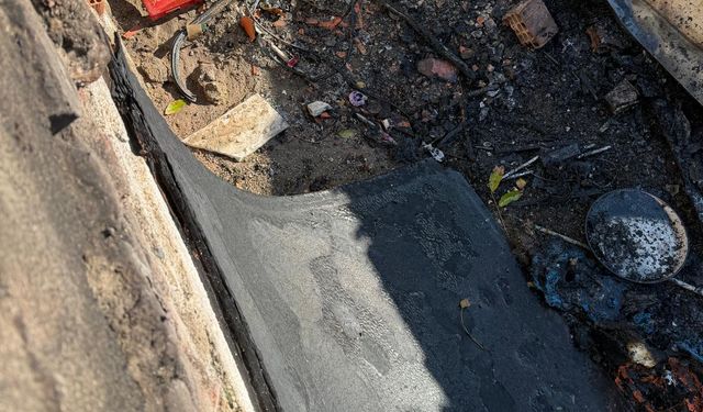 Aydın'da yangın paniği