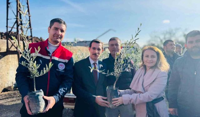 Bozdoğan’da 8 bin 700 adet fidan dağıtıldı