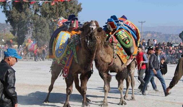 Aydın'da bilinmeyen denklem