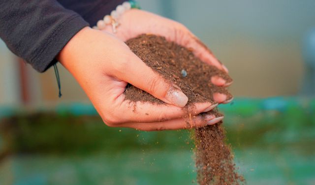 Didim Belediyesi’nden örnek proje: Pazar atıkları komposta dönüşüyor