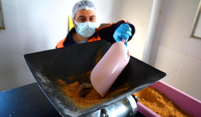 Didim’de her geri dönüşüm, can dostlarımıza umut olacak