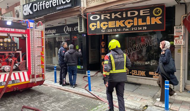 Aydın'da yangın paniği