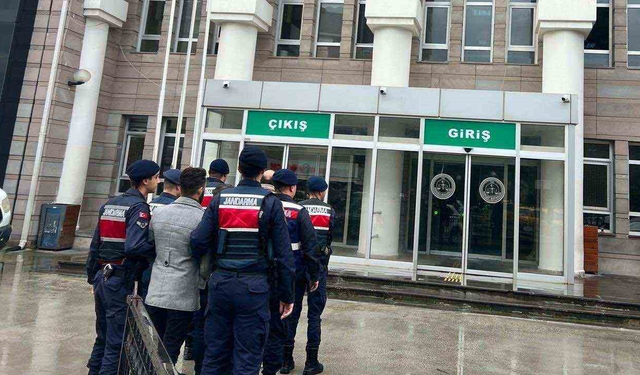 Aydın’da göçmen kaçakçılığı operasyonu