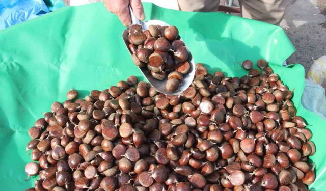 Kalitesine göre fiyat değişiyor: Babadan kalan mirasa gözü gibi bakıyor