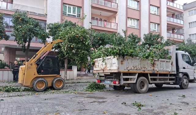 Efeler’in ekipleri daha yeşil bir kent için çalışıyor