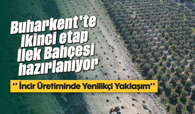 Buharkent'te ikinci etap İlek Bahçesi hazırlanıyor