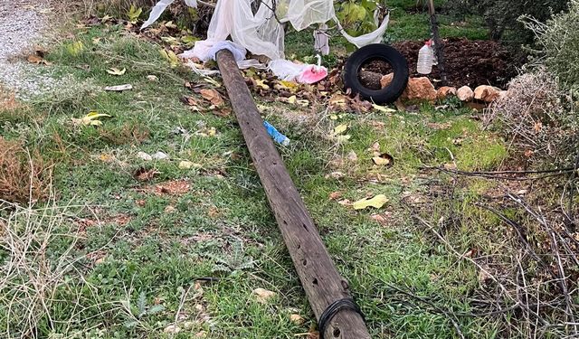 Karacasu'da ahşap direkler rüzgara dayanamadı: Mahallede elektrikler kesildi