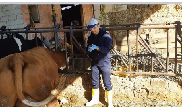 Karacasu'da bu kurallara uymayanlara 105 bin lira ceza kesilecek