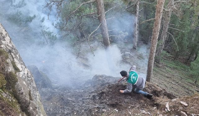 Karacasu'da kış günü orman yandı: Ekipler seferber oldu