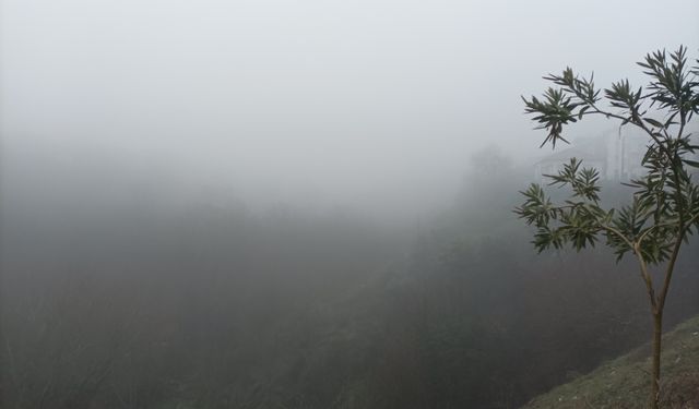 Karacasu'da puslu hava