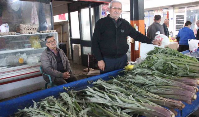 Aydın'da karaciğer dostuna yoğun ilgi
