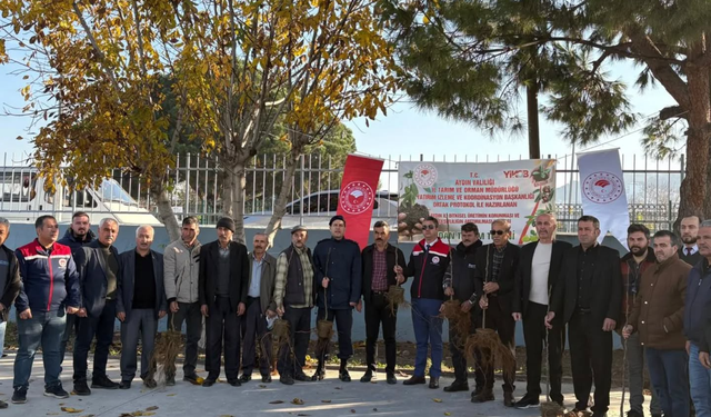 Koçarlılı üreticiler fidanlarına kavuştu