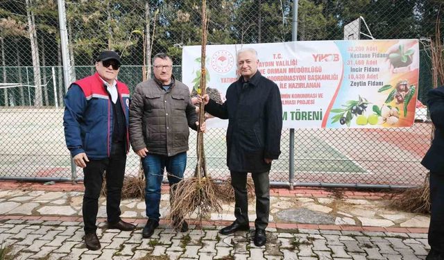 Kuyucak’ta 1200 adet kestane fidanı dağıtıldı
