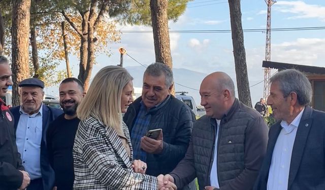 Nazilli kestaneye doyacak: 4 bin fidan üreticiye emanet edildi