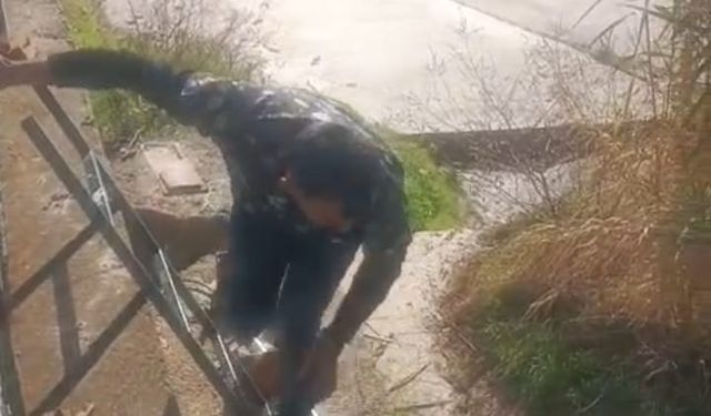 Nazilli’de dere yatağına düşen yavru köpeği belediye ekipleri kurtardı