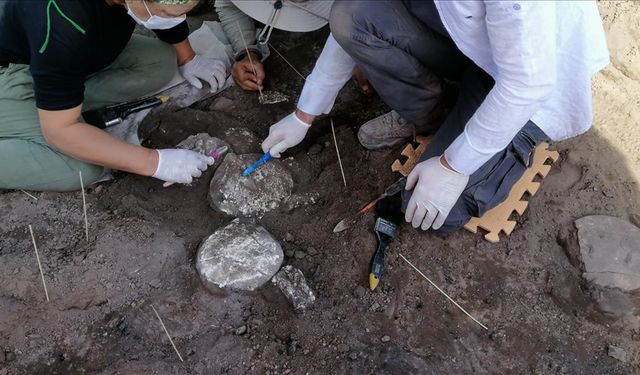 Aydın’da iki bölge birinci derece arkeolojik alan ilan edildi