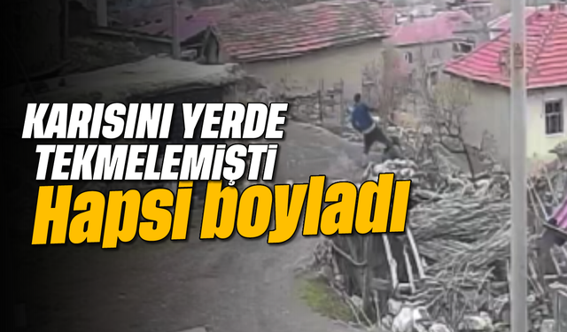 Karısını yerde tekmelemişti: Hapsi boyladı