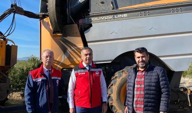 Türkiye'nin en büyük zeytinliği Karacasu'da