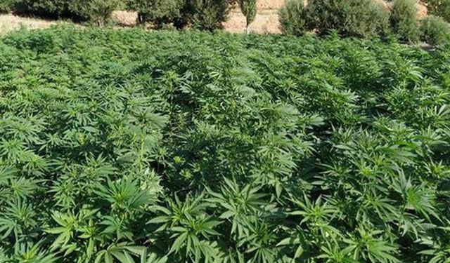 İzmir’deki uyuşturucu operasyonunda Nazillili iş insanı alındı