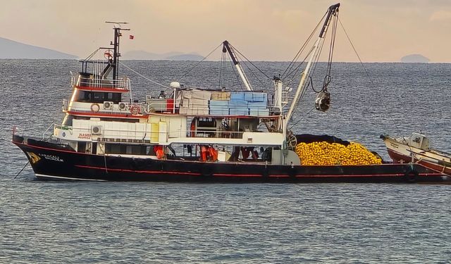 Yağış balıkçıları da vurdu; tekneler kıyıda kaldı