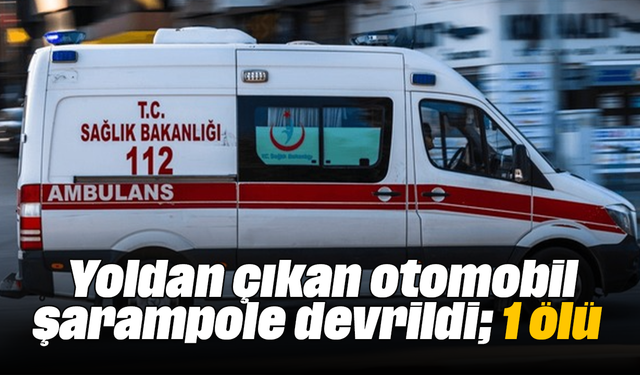 Yoldan çıkan otomobil şarampole devrildi; 1 ölü