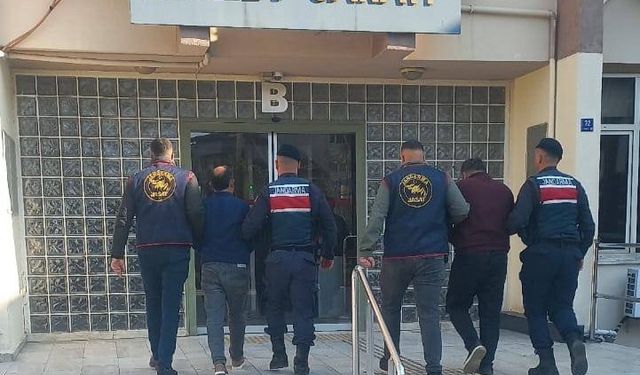 Aydın'da 400 kilo zeytin çalan hırsızlar yakalandı