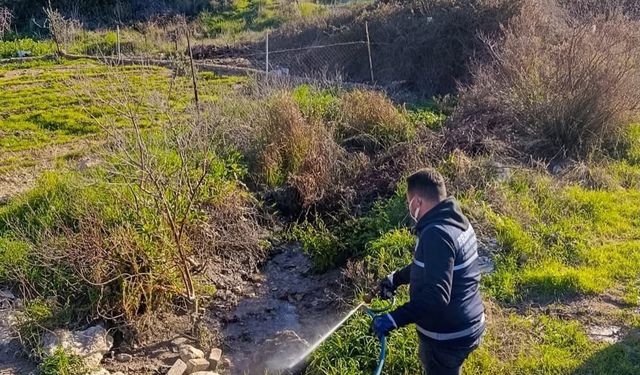 Didim'de halk sağlığı için vektörler karşı mücadele