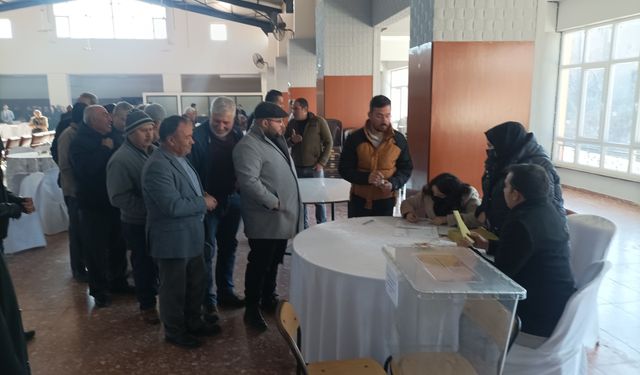 Karacasu'da sarı liste ile beyaz liste yarışıyor