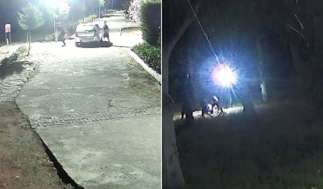 Didim'de öldürülmüştü: Poyraz’ın ölümüne müebbet talebi