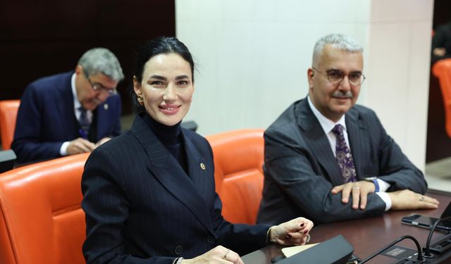 Sarıbaş, Ankara mesaisinde