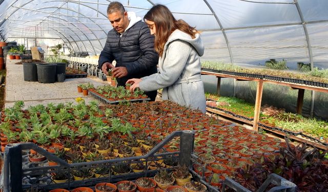 Söke Belediyesi, ilçeyi çiçeklerle donattı