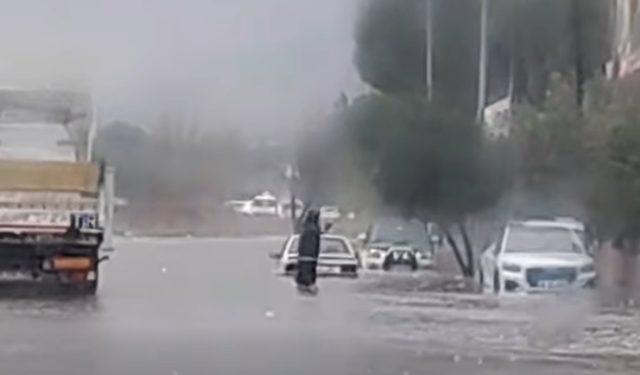 Söke selle boğuşuyor