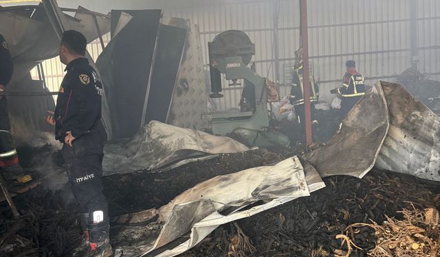 Nazilli’de şifalı bitki tesisi yandı