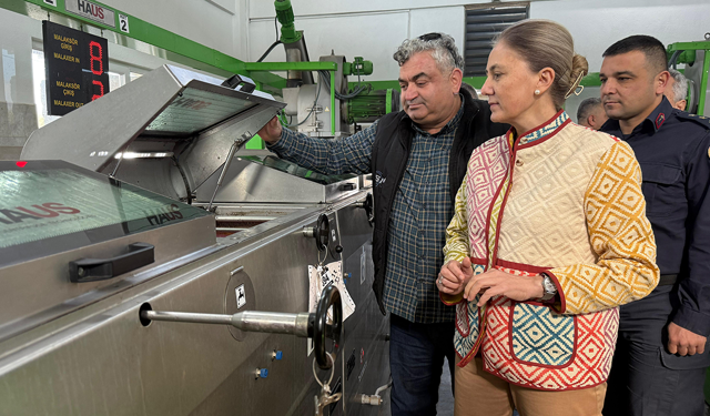 Nazilli’nin altın incisi: Kaymakam Kan, zeytinyağının yolculuğunu izledi