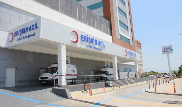 Aydın'da acı kaza: Yaşlı adam hayatını kaybetti