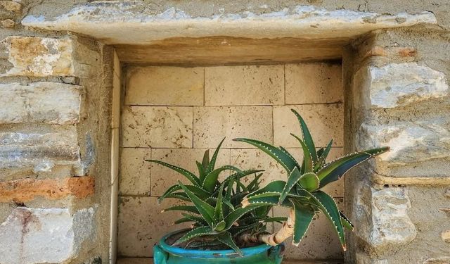 Aydın'ın masalsı mahallesi