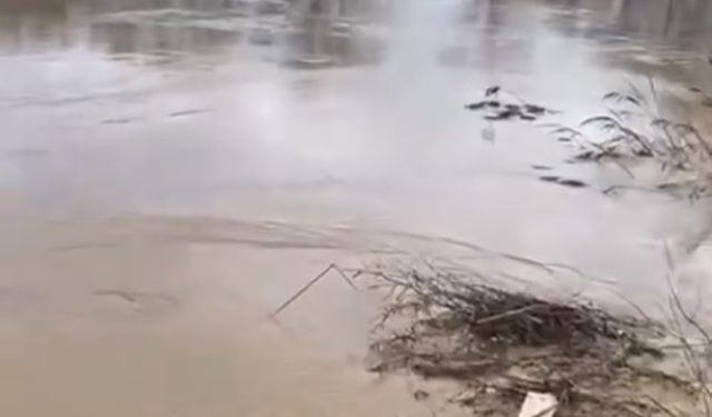 Büyük Menderes Nehri taştı