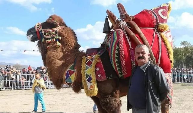 Deveciler isyanda! Develeriyle İl Müdürlüğü’ne gidecekler