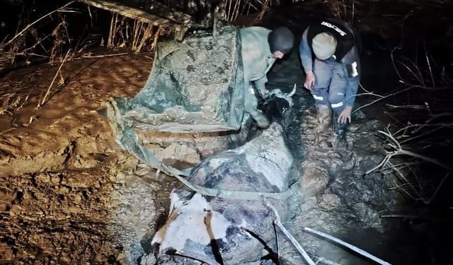 Germencik’te bataklığa saplanan büyükbaş hayvan kurtarıldı