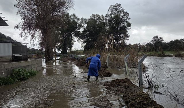 Germencik’te hayvan çiftliğini su bastı