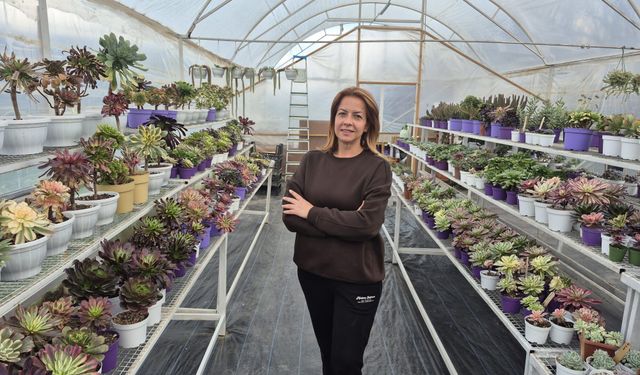 Hobi diye başladı, ‘Çiçek Bahçesi' kurdu